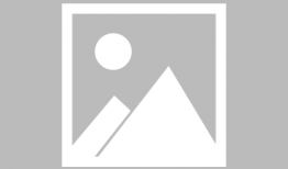 张伟丽最新比赛视频